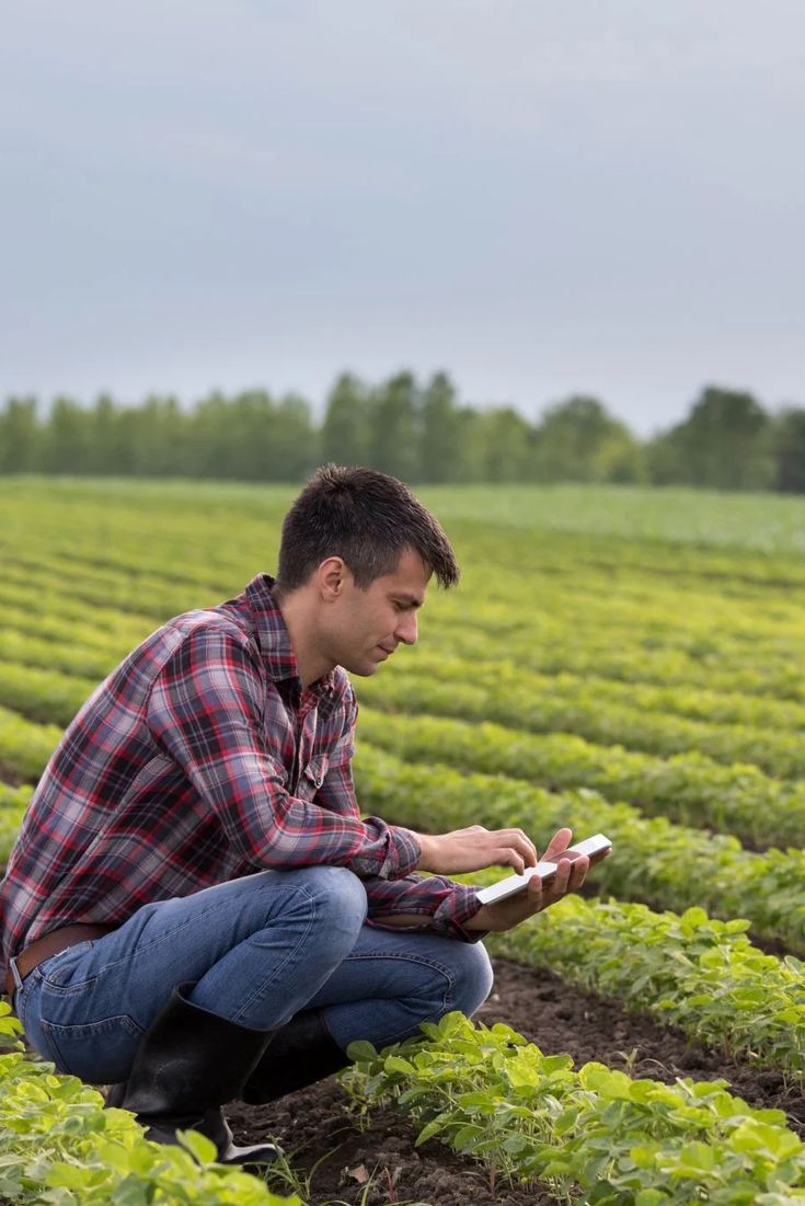 Produtor rural agachado em campo verde usando tablet para consultar dados