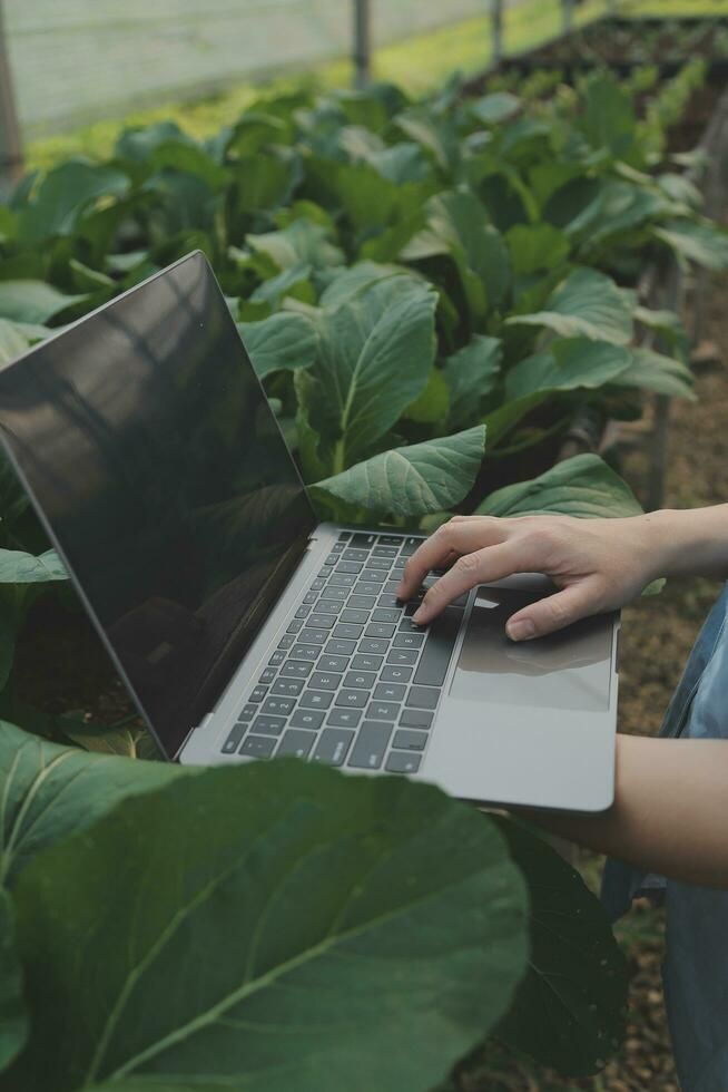 Pessoa trabalhando com notebook em meio a folhagens de estufa